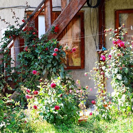 Nadia Guesthouse Mestia Exteriér fotografie