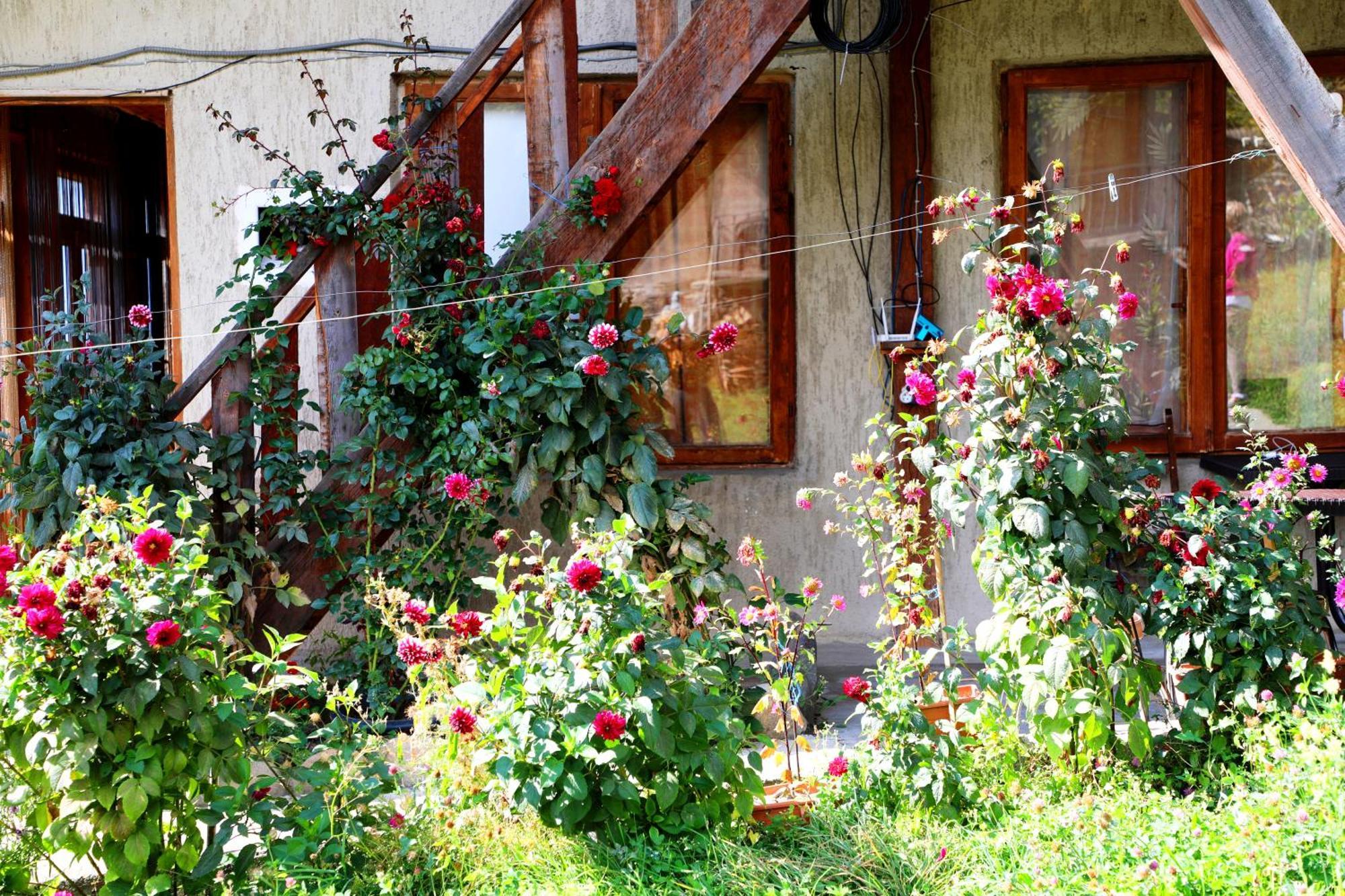Nadia Guesthouse Mestia Exteriér fotografie